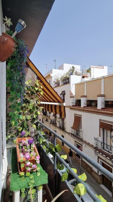 Luminoso Apartamento Centro Triana Apartman Sevilla Kültér fotó